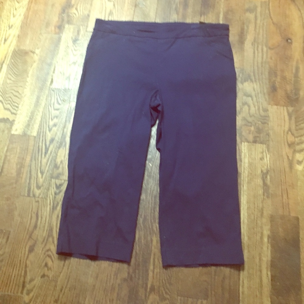 Kim Roger blue cropped dress pants